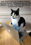 Image result for First Day of Work Cat Meme