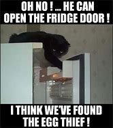 Image result for Refrigerator Thief Meme