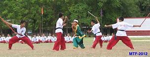 Image result for Burmese Martial Arts