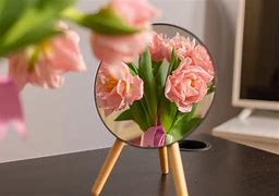 Image result for Produkt with Mirror Reflection