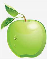 Image result for Apple Vector for Nurooz