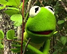 Image result for Kermit the Frog Swamp Years