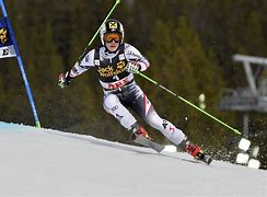 Image result for Alpine Ski Racing