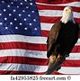 Image result for Eagle Soaring through the Mountains 4K