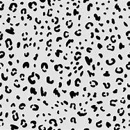 Image result for Snow Leopard Print Wallpaper
