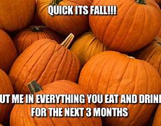 Image result for Fall Season Meme