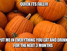 Image result for How Was the Fall Meme