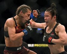 Image result for MMA