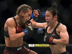 Image result for MMA Photos
