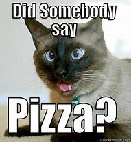 Image result for Pizza Cat Meme