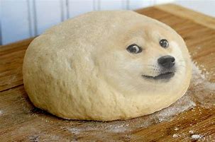 Image result for Dogue Dog Meme