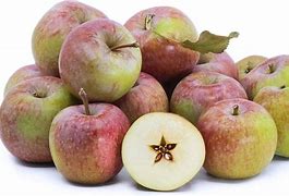 Image result for Blue Pearmain Apple