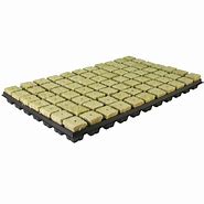 Image result for Rockwool Trays