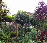 Image result for Eden Wood House Garden London Ascot