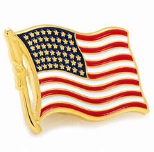 Image result for Small US Flag Pins