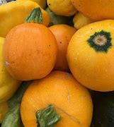 Image result for Yellow Ball Squash