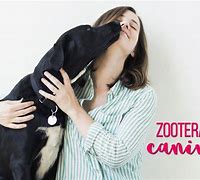 Image result for co_to_znaczy_zooterapia