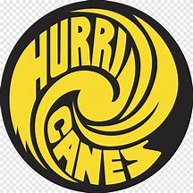 Image result for Miami Hurricanes Vintage Logo