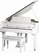 Image result for Playing Piano White