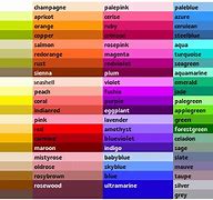 Image result for Does Color Exist