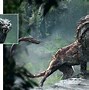 Image result for Fantastic Beasts Mythical Creatures