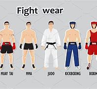 Image result for Types of Fighters