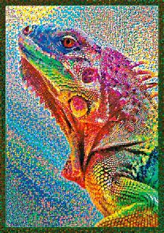 Colorful Lizard Poster green Painting by Watson Daisy - Pixels