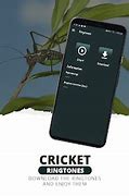 Image result for Cricket Phones Ringtones