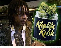 Image result for Wiz Khalifa Kush