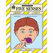 Image result for Theme Five Senses