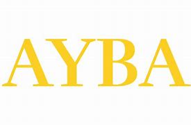Image result for AYBA Basketball Logo