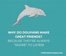 Image result for Dolphin Puns
