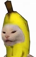 Image result for Banana Cat Text Meme