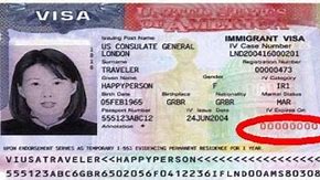 Image result for Document Number On Visa