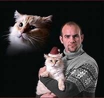 Image result for Guy Holding Cat Meme
