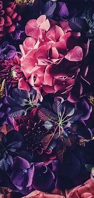 Image result for Vintage Floral iPhone Wallpaper