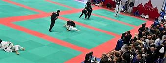 Image result for Brazilian Jiu Jitsu Belt Ranks