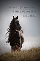 Image result for Horse Rider Quotes
