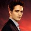 Image result for Twilight Breaking Dawn Book
