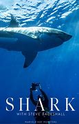 Image result for Shark Steve Jenkins
