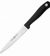 Image result for Wusthof Silverpoint Knife
