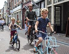 Image result for Dutch Person