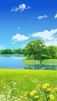 Image result for Beautiful Nature Wallpapers for Mobile