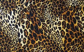 Image result for Leopard Print Wallpaper HD