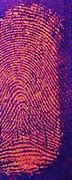 Image result for Clear Fingerprint Reader