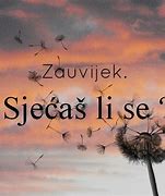 Image result for co_to_za_zauvijek_volim_te