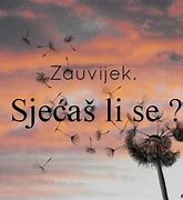 Image result for co_oznacza_zauvijek_volim_te