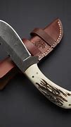 Image result for Skinning and Carving Knives