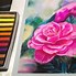 Image result for Good Pastel Drawings