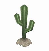 Image result for Desert Cactus Plants Arizona